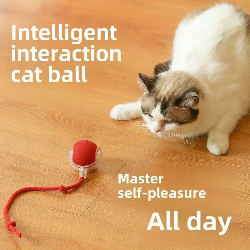 🌀 Rechargeable Interactive Pet Toy – Rolling Fun for Dogs & Cats!
