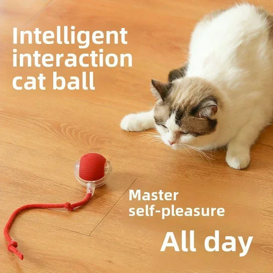 🌀 Rechargeable Interactive Pet Toy – Rolling Fun for Dogs & Cats!