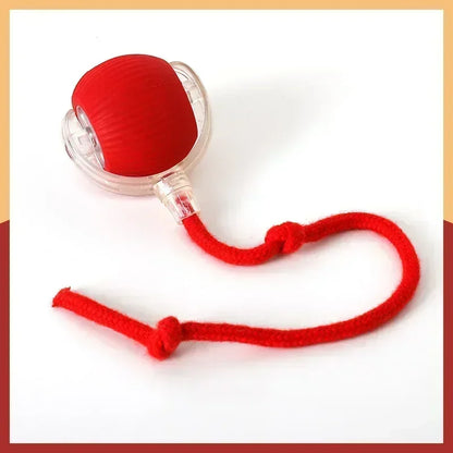 🌀 Rechargeable Interactive Pet Toy – Rolling Fun for Dogs & Cats!