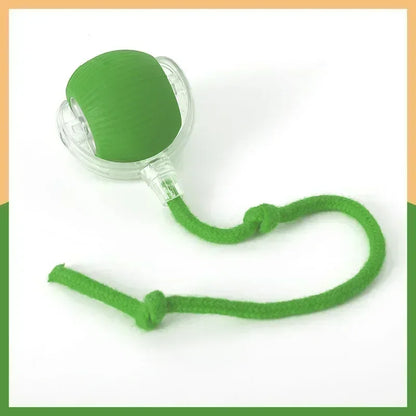 🌀 Rechargeable Interactive Pet Toy – Rolling Fun for Dogs & Cats!