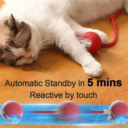 🌀 Rechargeable Interactive Pet Toy – Rolling Fun for Dogs & Cats!