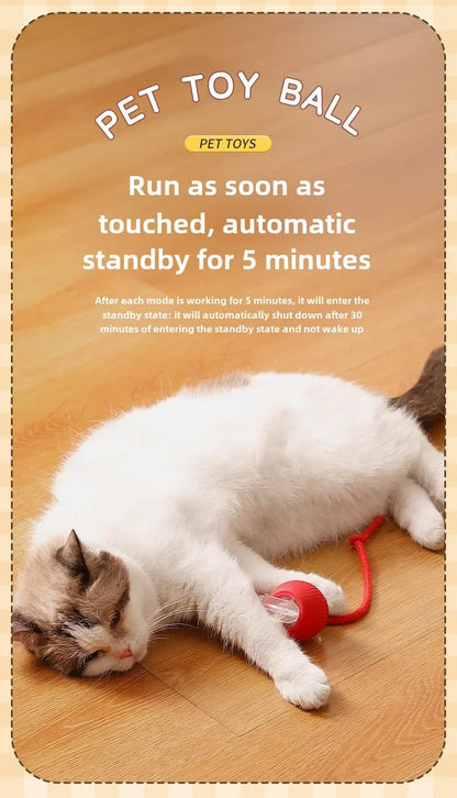 🌀 Rechargeable Interactive Pet Toy – Rolling Fun for Dogs & Cats!