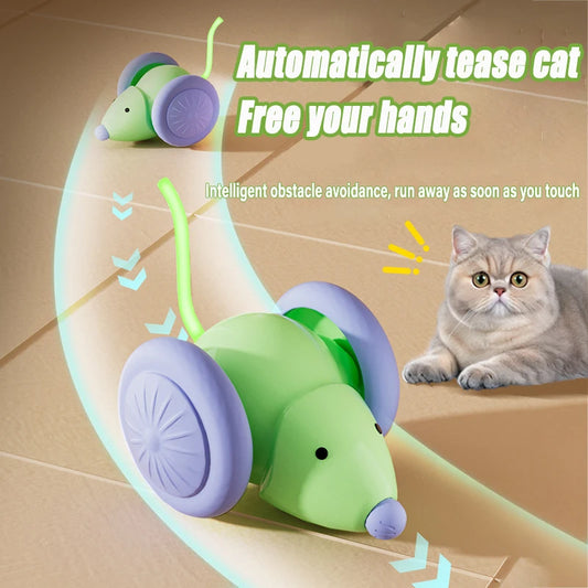 🐭🚗🐾Interactive Cat Toy Launcher – Feather & Ball Fun for Active Cats