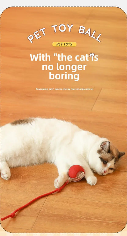 🌀 Rechargeable Interactive Pet Toy – Rolling Fun for Dogs & Cats!
