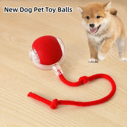 🌀 Rechargeable Interactive Pet Toy – Rolling Fun for Dogs & Cats!