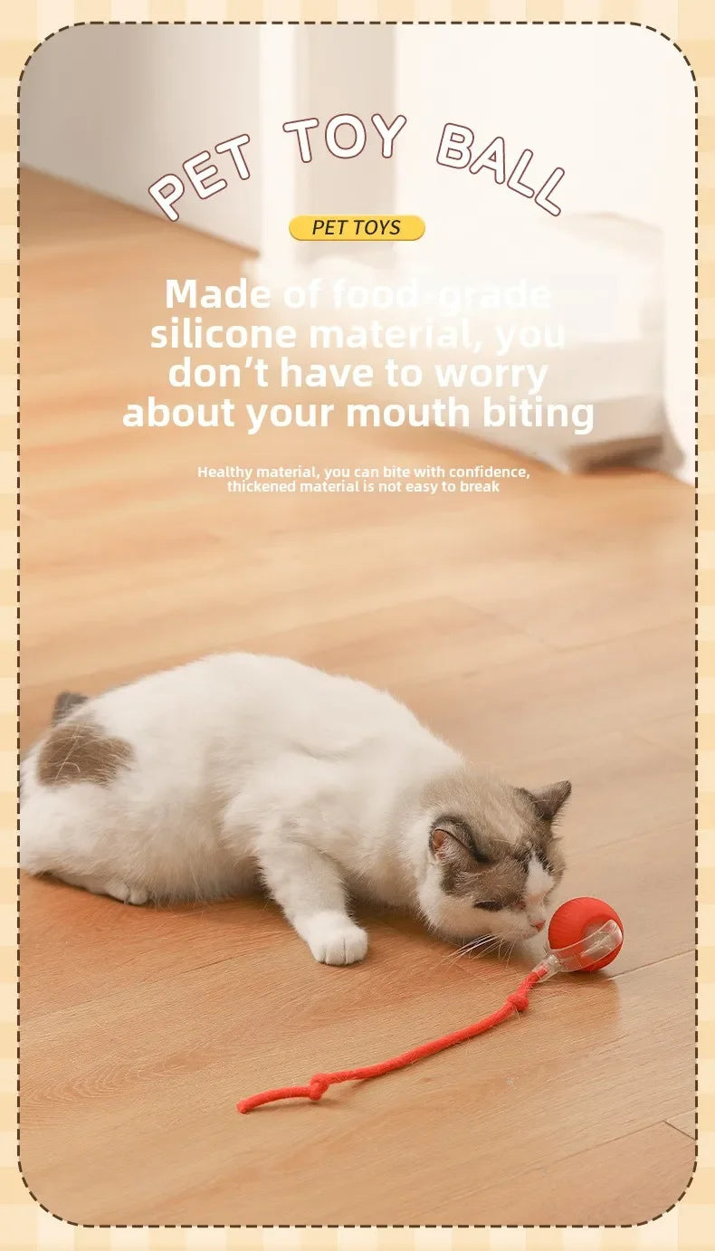 🌀 Rechargeable Interactive Pet Toy – Rolling Fun for Dogs & Cats!