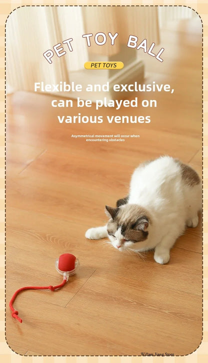 🌀 Rechargeable Interactive Pet Toy – Rolling Fun for Dogs & Cats!